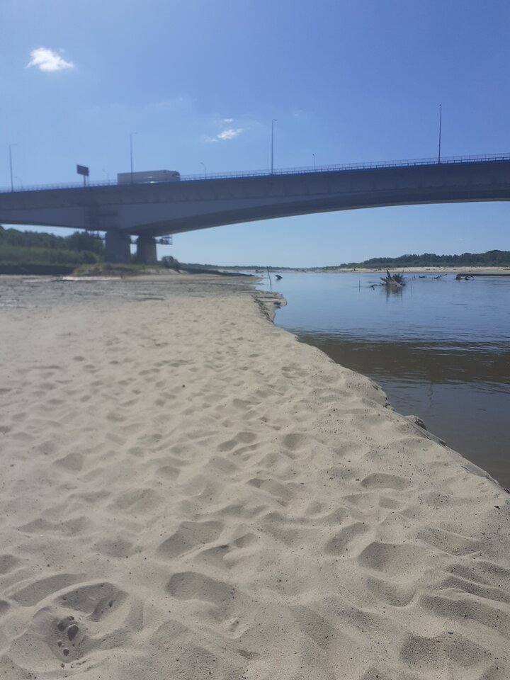 17517023225187707176257938464404.jpg - Vintage_Cum