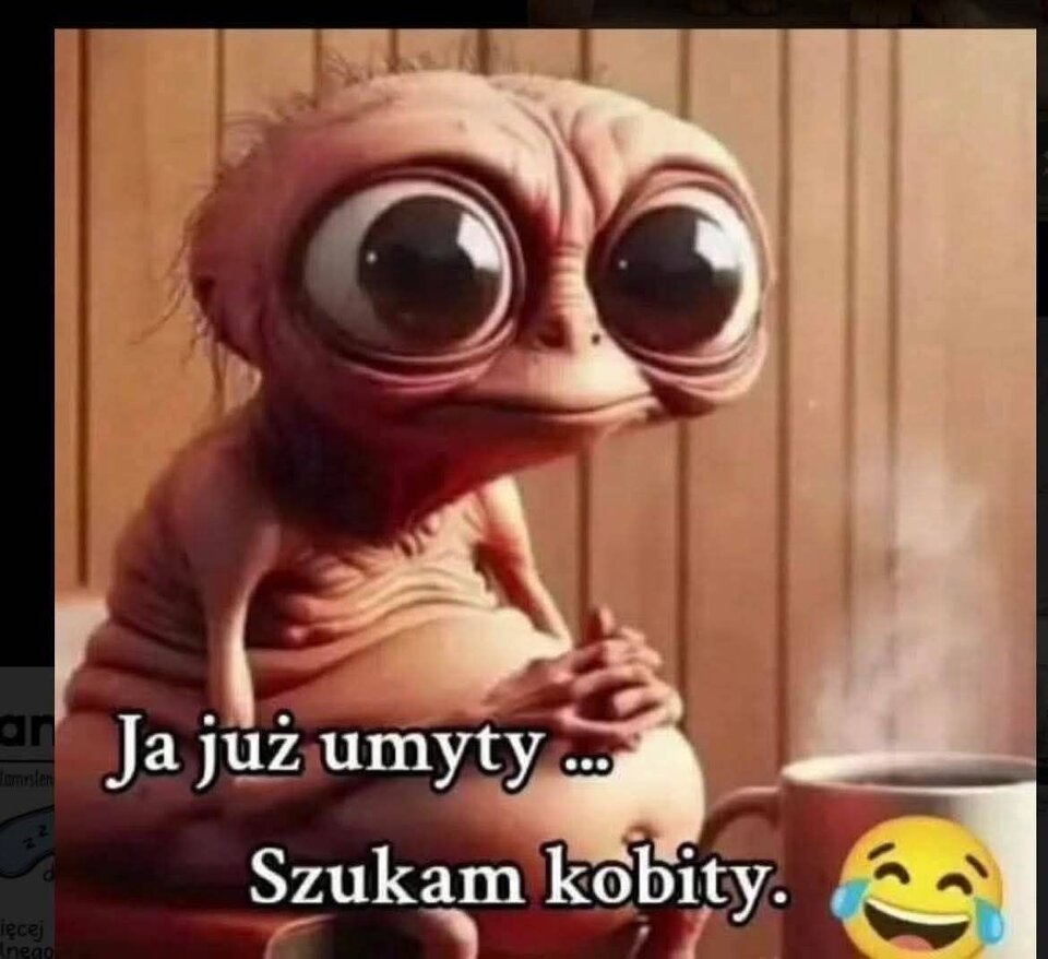 514246637_1681308462543424_7100968003662397543_n.jpg - Stuntmann