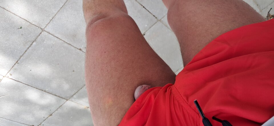 1000008794.jpg - robercu