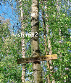 Biskupice po dłuższym czasie nieobecności