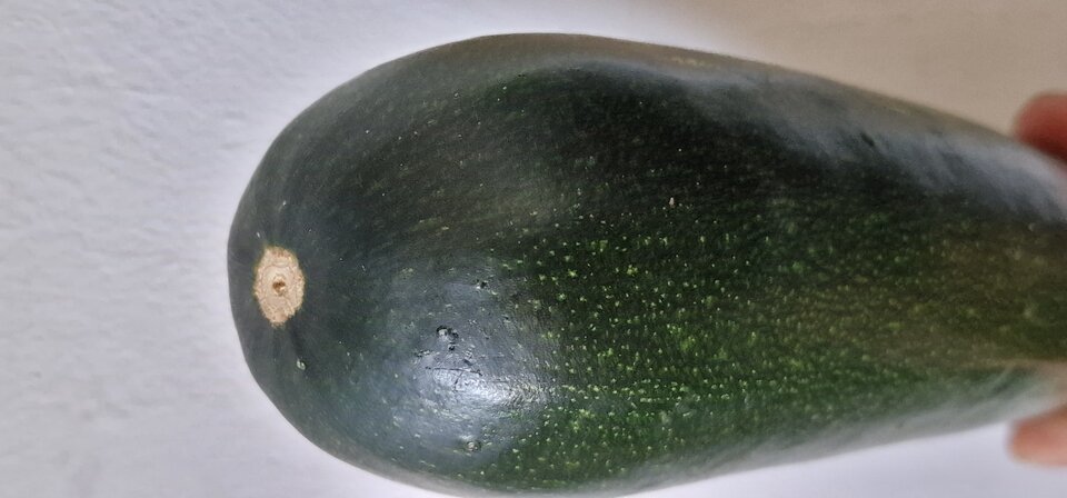 17517242948773380454412658623247.jpg - robin266