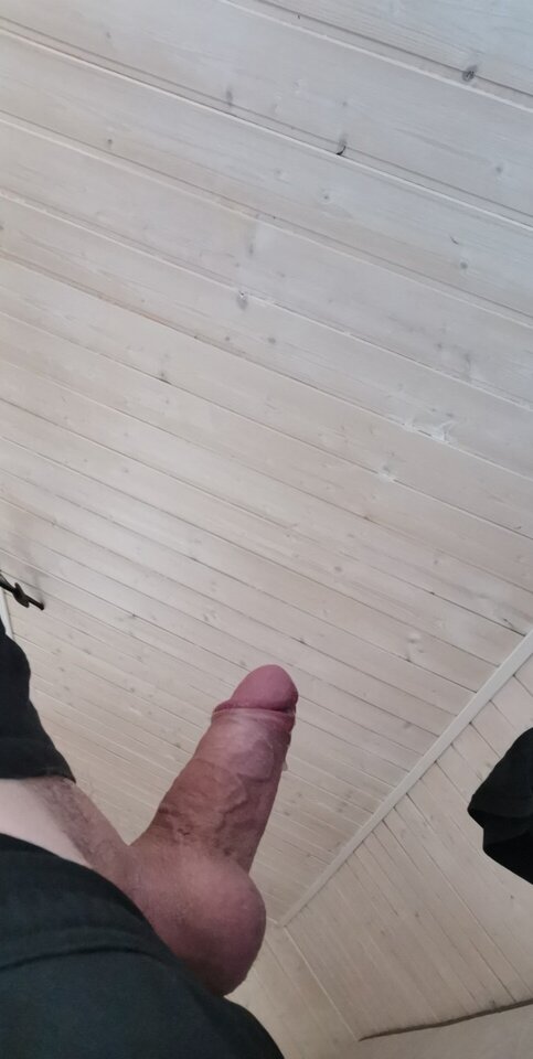 9c013c39-8805-4ed3-a728-bc7909d13352photo.jpeg - Tomi0898