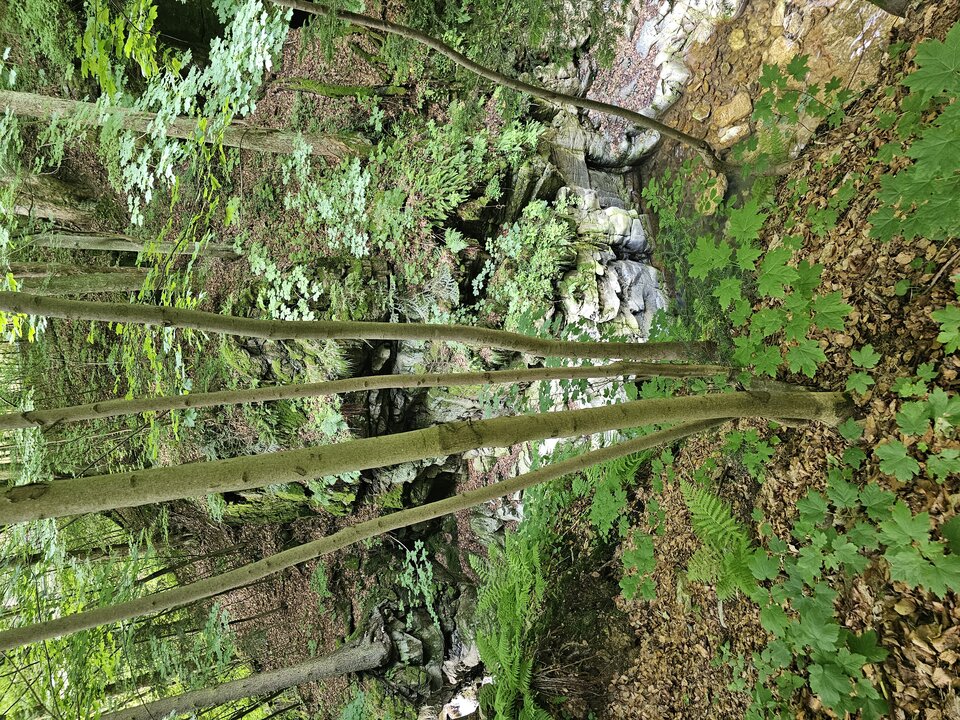 1000046604.jpg - faroamon6971