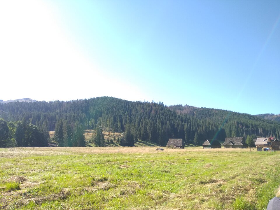 1000000724.jpg - GentlemanAriasz