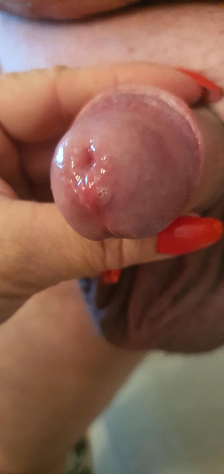 att.XIZHB1AR5IwCyKuIOkAXHs4ljGMqThvyAkj_ciuBaqE.jpeg - Czekoladowy123