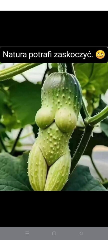 1000027984.jpg - BellaCiao3