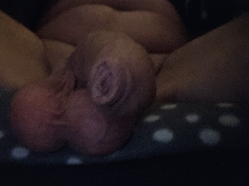 1000017551.jpg - Pansavage