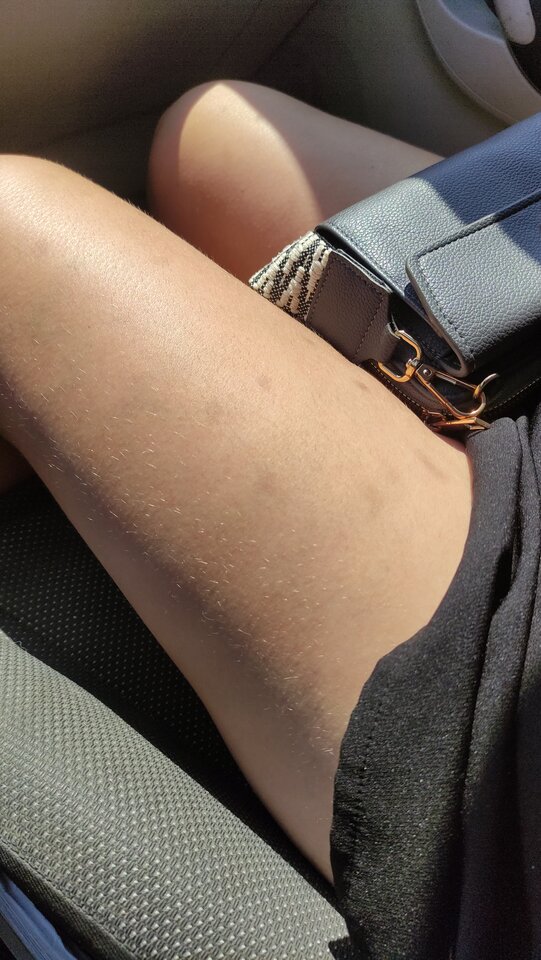 IMG_20250707_120843.jpg - panstwobloom