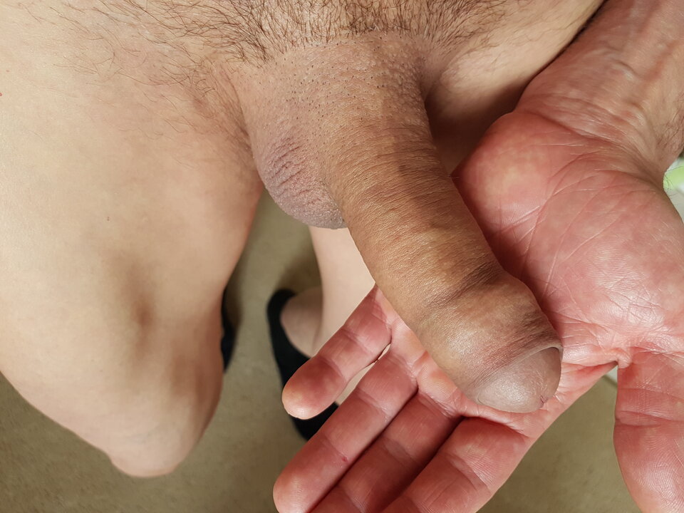 20250707_104027.jpg - Whitelittlecock