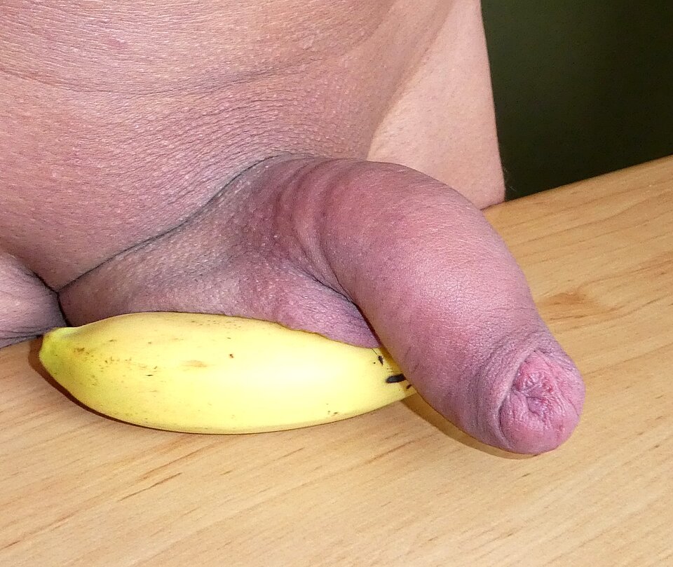 P1060675.JPG - analizator29