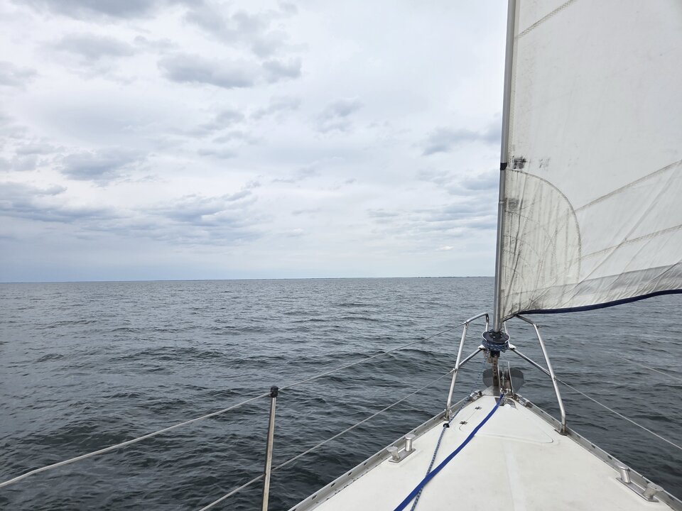 1000005378.jpg - my3839wwa