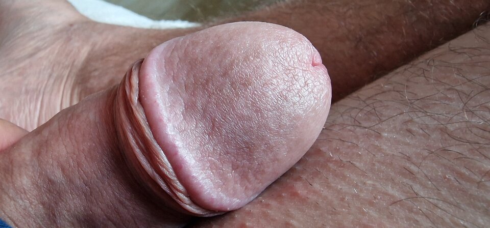 17519439884724010779839217158503.jpg - robin266