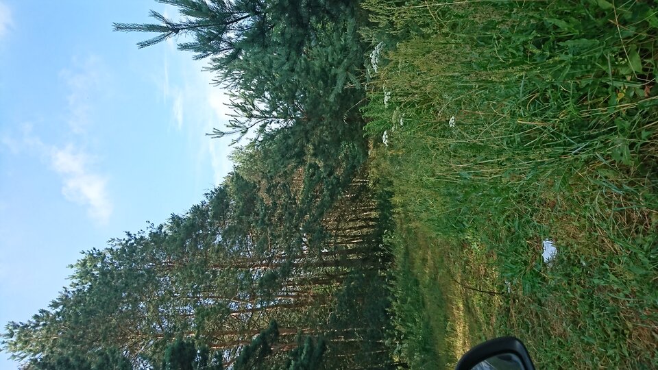 17519574718076471803241316443475.jpg - OnRealny43sdl