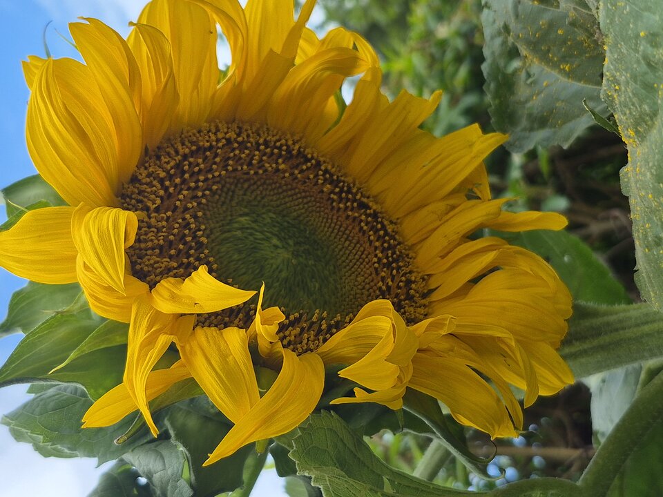 1000037836.jpg - Miniek234