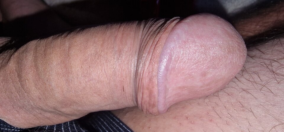 1752030253142519715186028097457.jpg - robin266