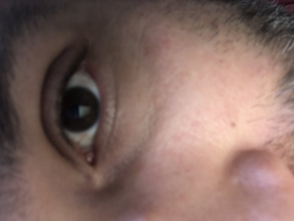 image.jpg - Gregory0882