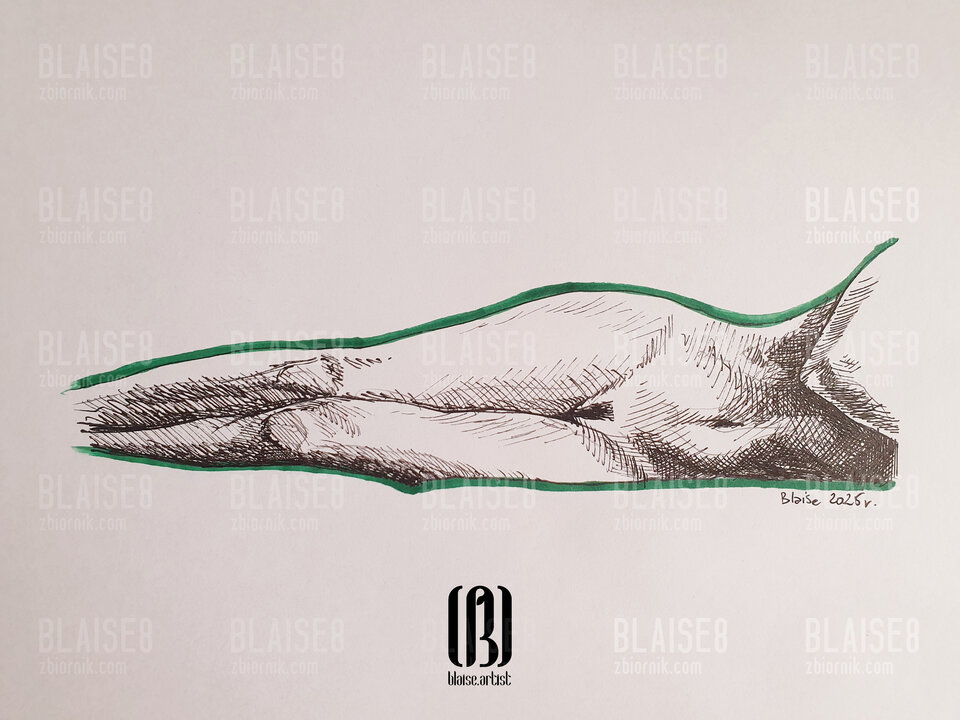 Art. No. 349 - blaise8