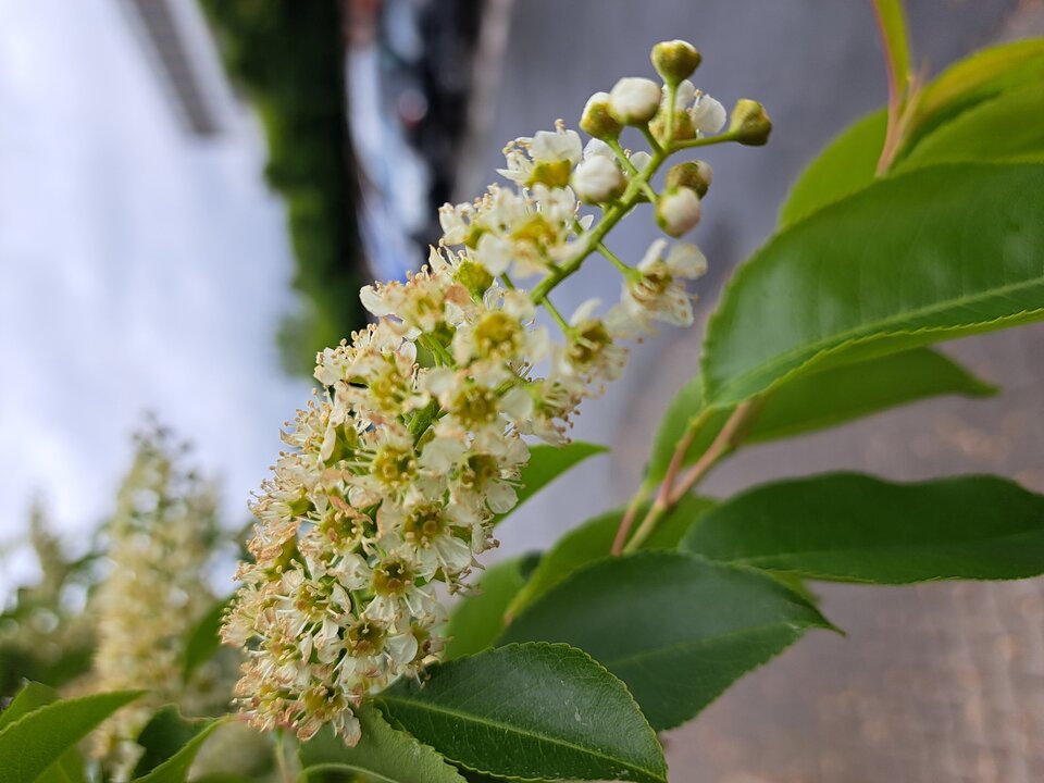 1000029795.jpg - nagano1