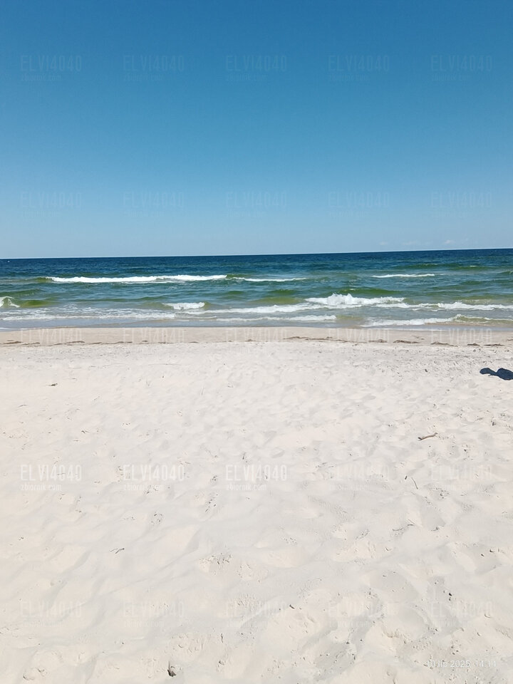 Grzybowo 🌞 - elvi4040
