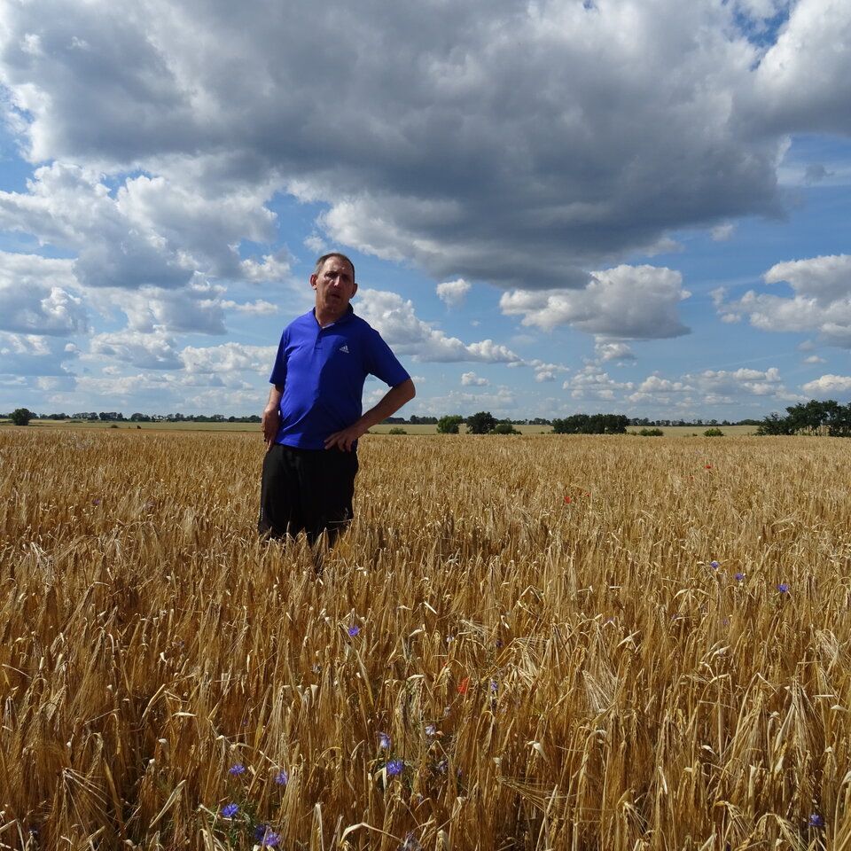 DSC04386.JPG - bojman8