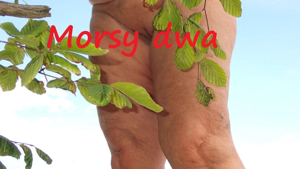 Z zielonym. - Morsy_dwa