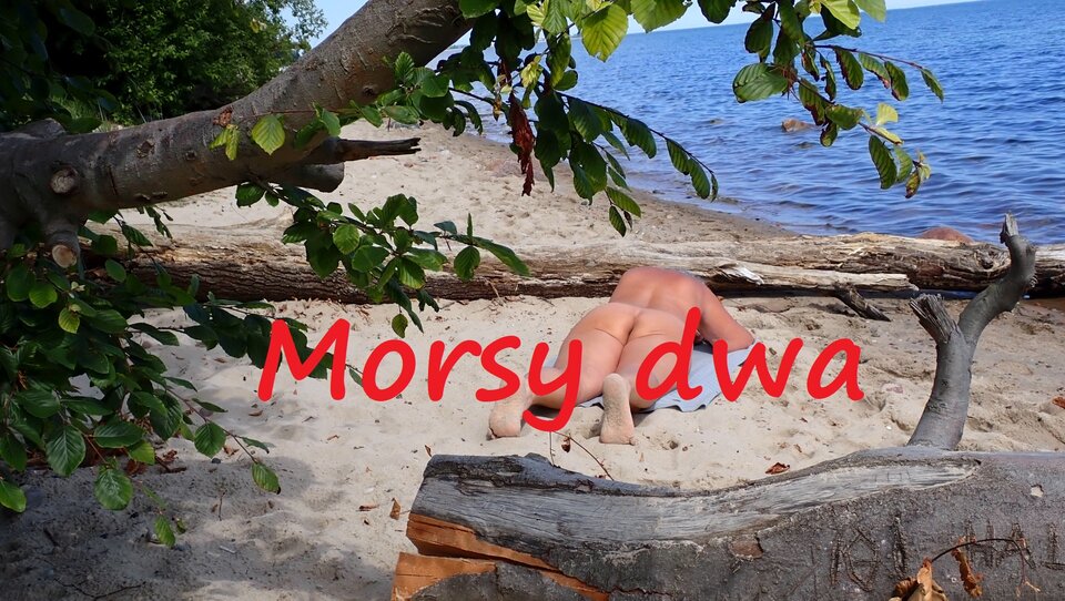 W słoneczku. - Morsy_dwa