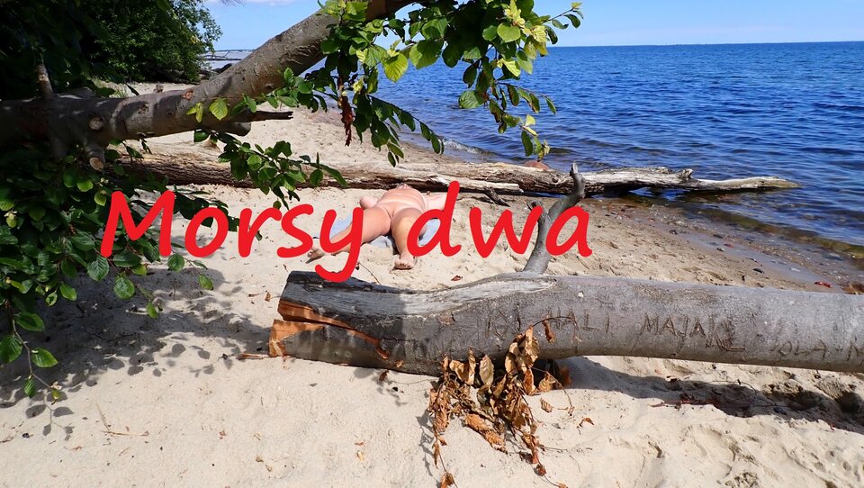 W słoneczku. - Morsy_dwa