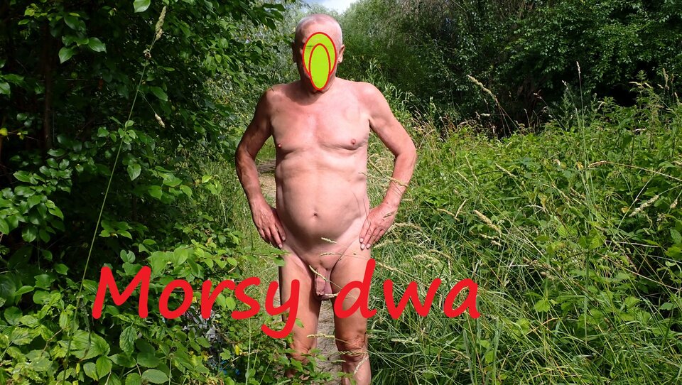 Buszując w trawie. - Morsy_dwa