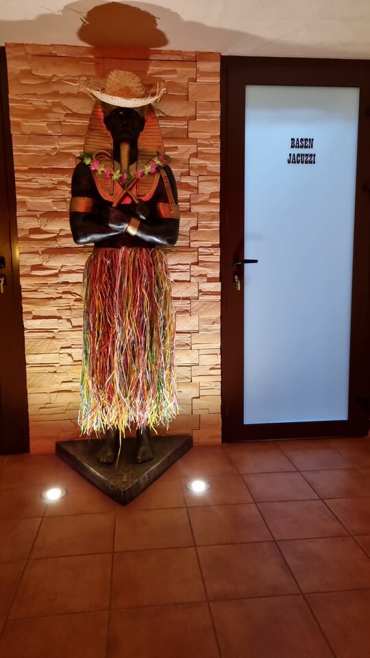 1000172802.jpg - parpolaca