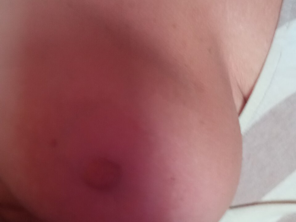 IMG_20250710_201223.jpg - olla55