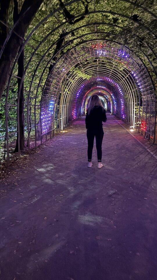 IMG_2026.jpeg - Luna2022