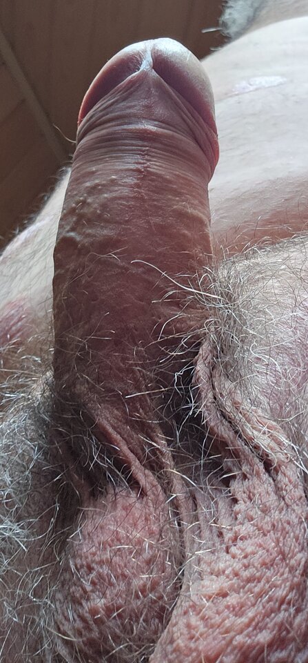 20250628_092737.jpg - Reganek