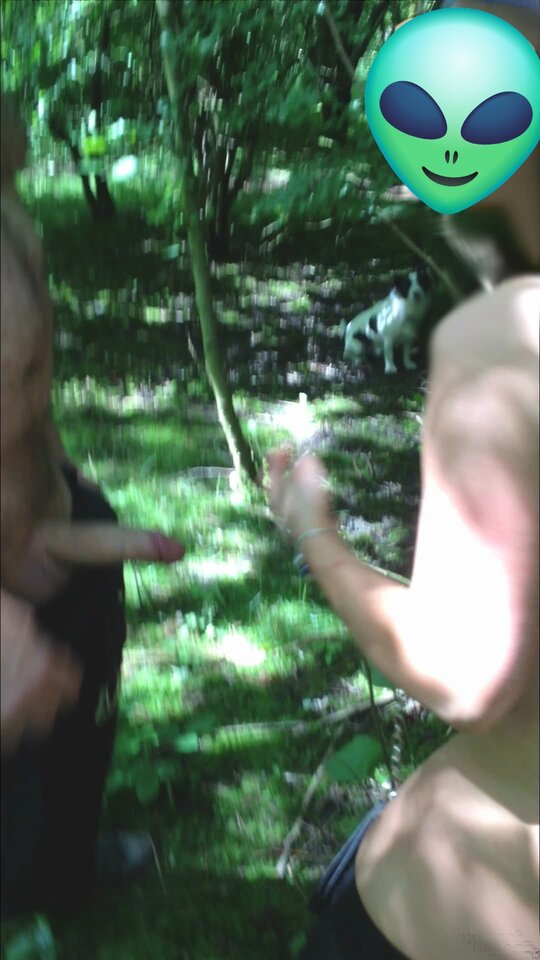 1000046632.jpg - polatrans