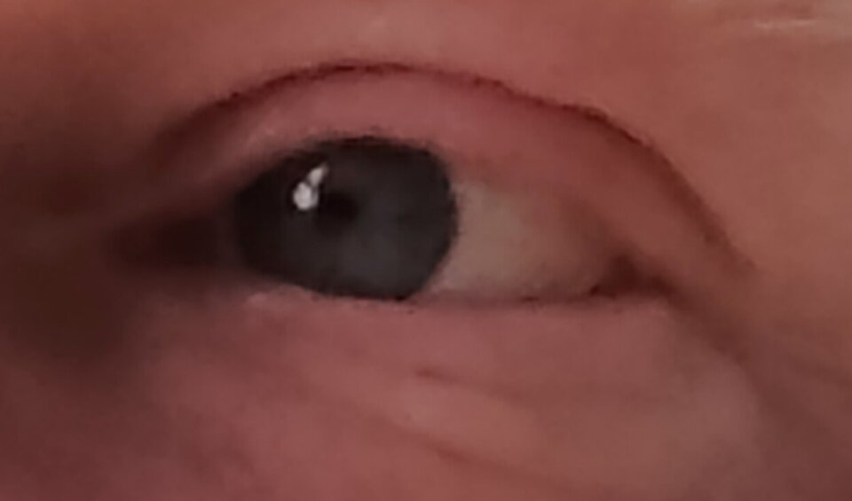 1000004346.jpg - Tomek197410