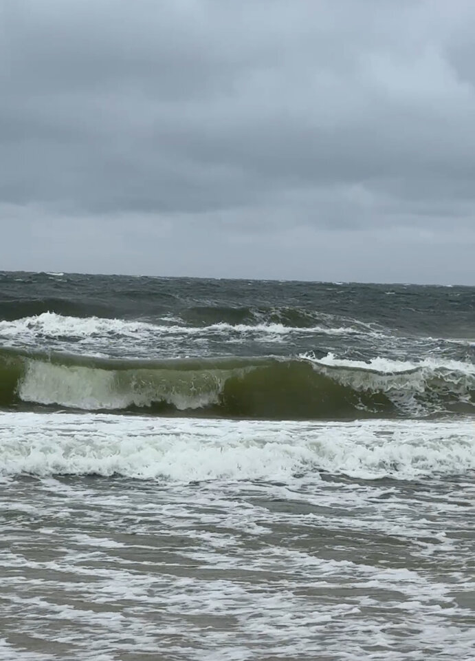 IMG_2826.jpeg - paraa8279