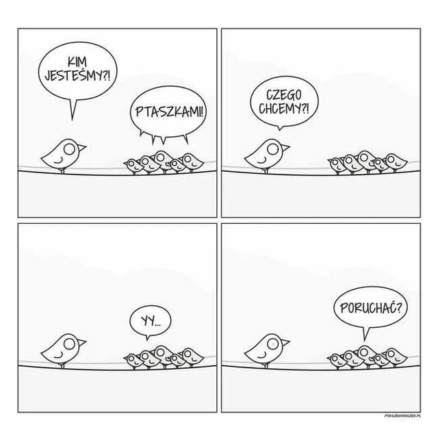 proste że tak! 😈🤣🙃 - XGliderX
