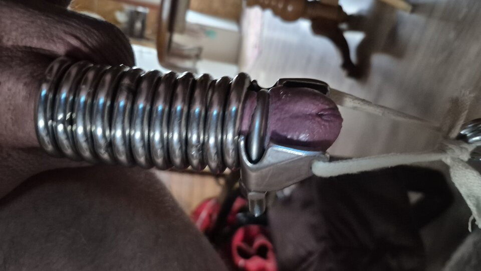 1000008144.jpg - Naturysta70