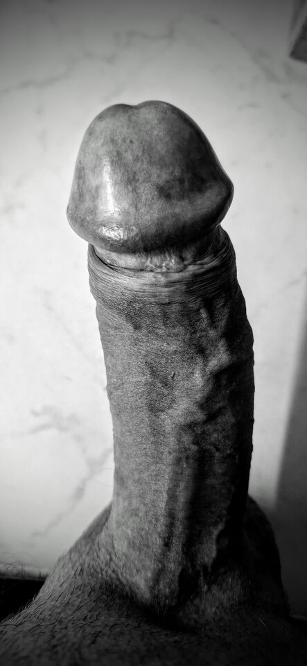 1000015634.jpg - Selekta