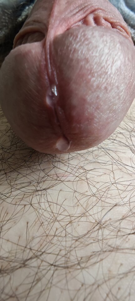 Poliżesz - janciomuzykant