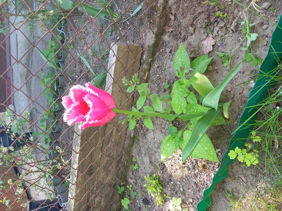 1000007092.jpg - Zxcvbnm2025