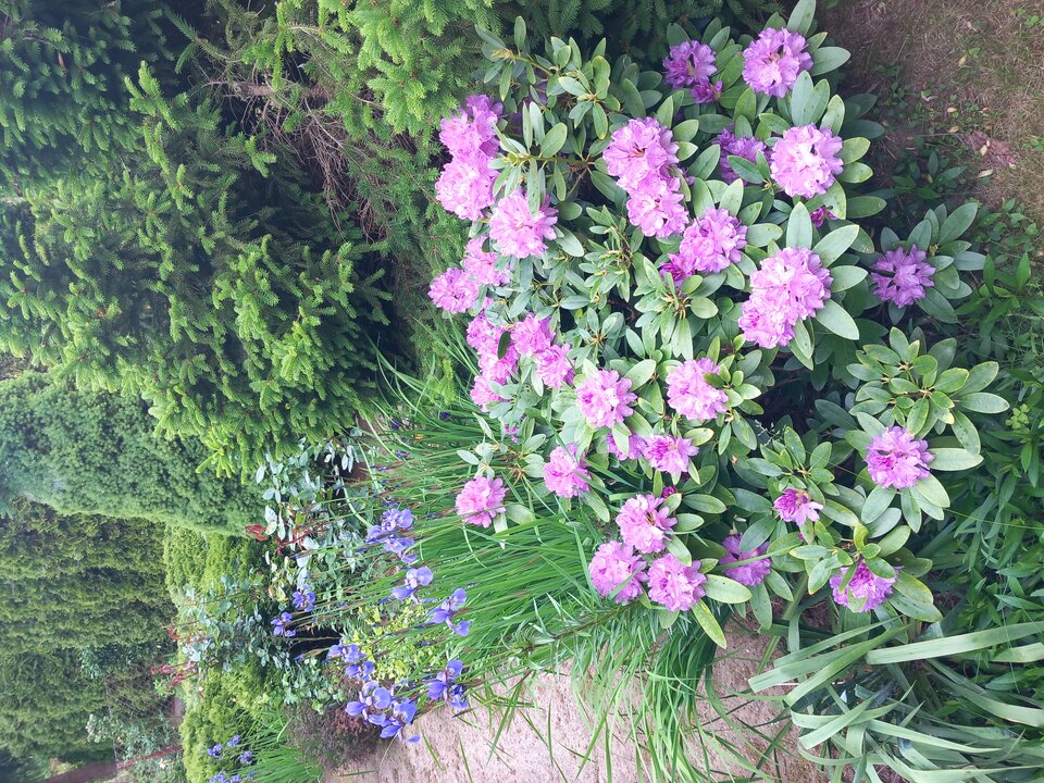 1000007203.jpg - Zxcvbnm2025