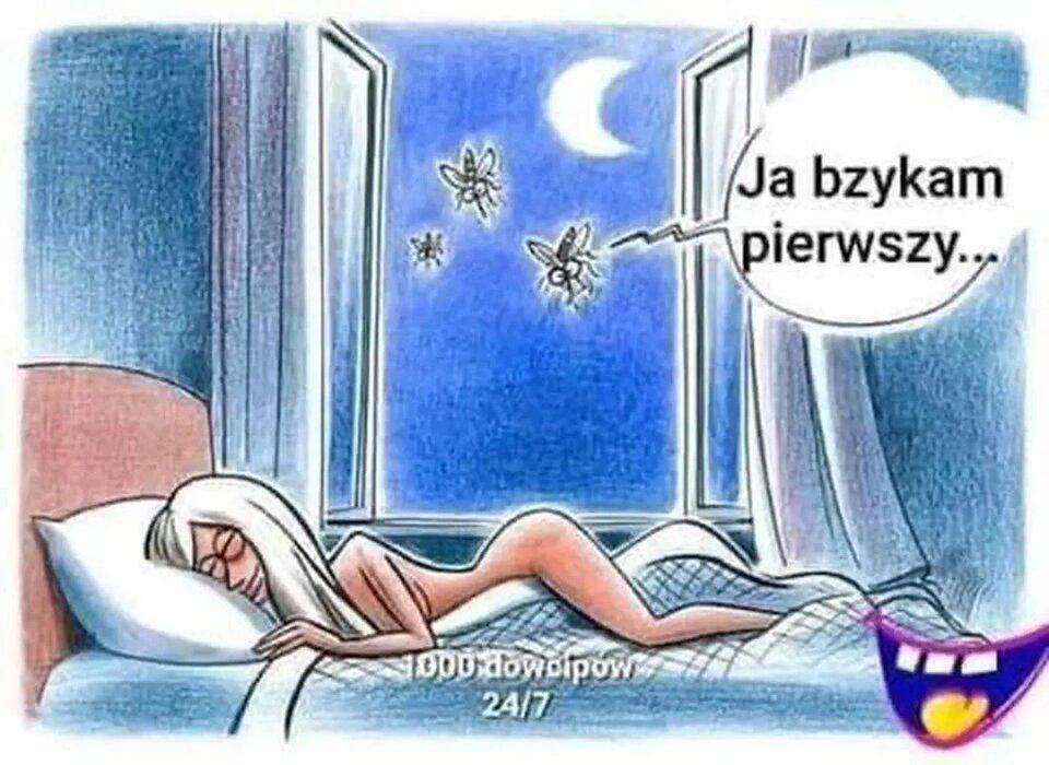 img_1_1752319892367.jpg - Hard_Rock_Cafe