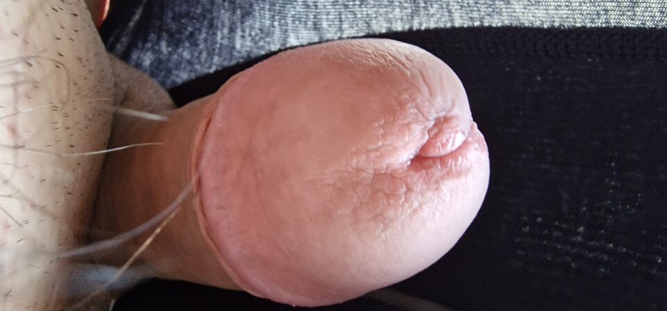 1752392507930444734661617670384.jpg - robin266