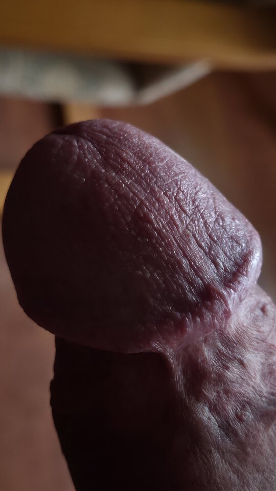 1000048611.jpg - dla_fana_spermy