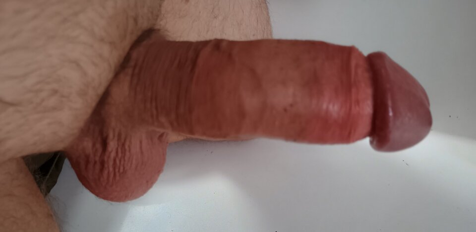 1000021082.jpg - wolnygosc990