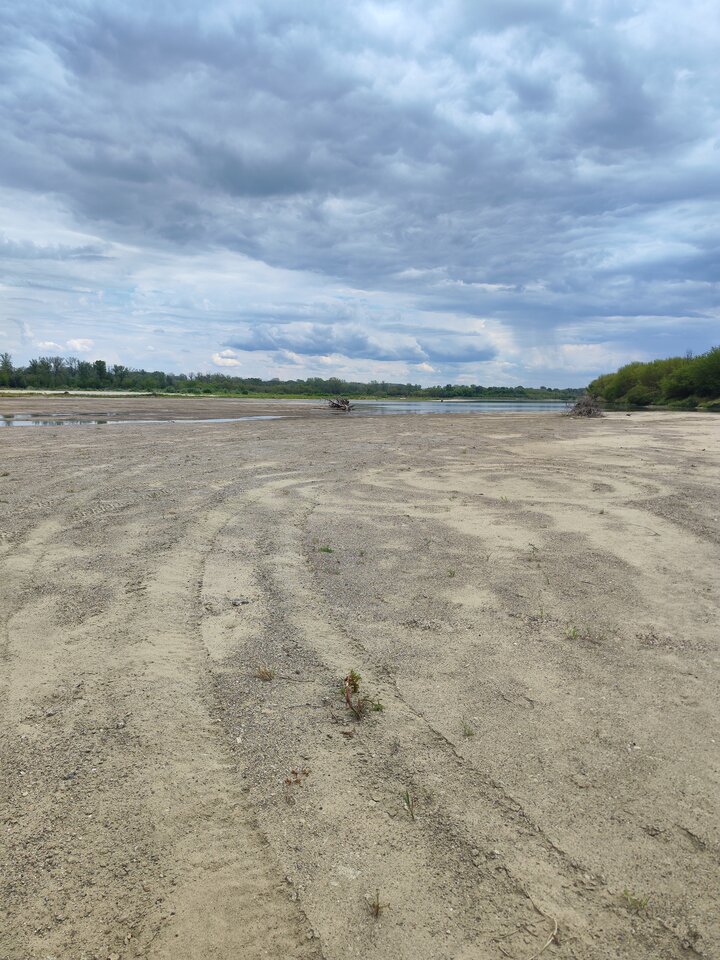 2025-07-1313.23.221186046431407494922.jpg - tom6970