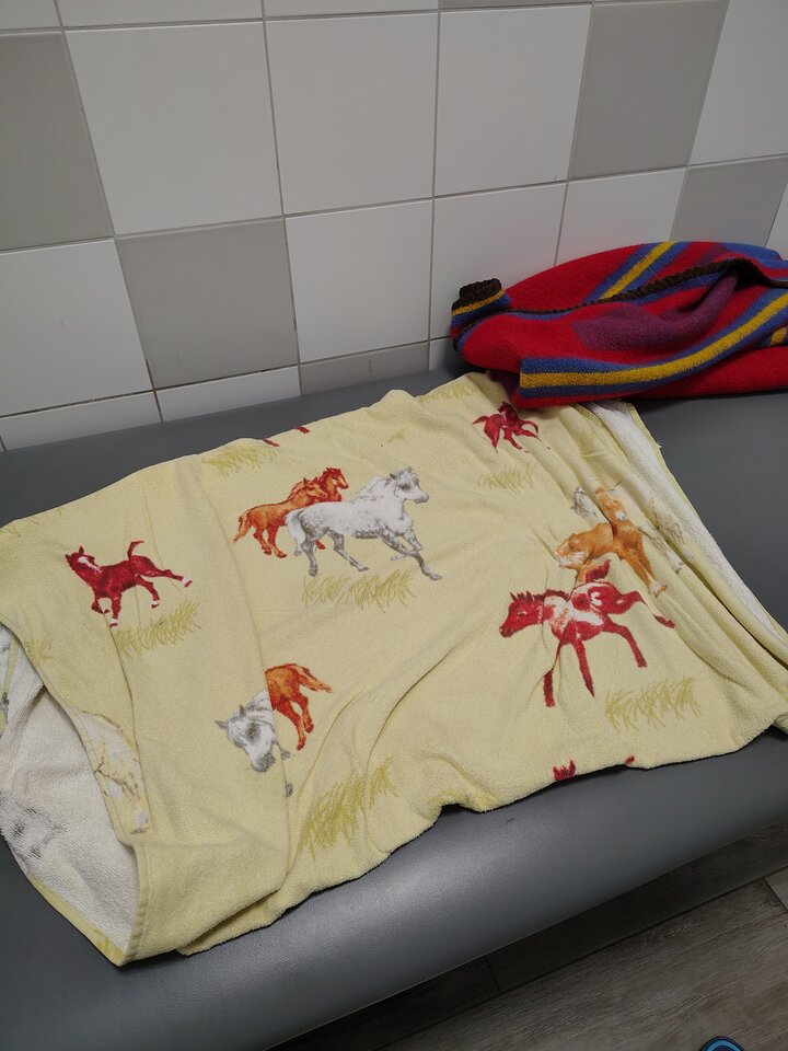 1000002186.jpg - pulchna65