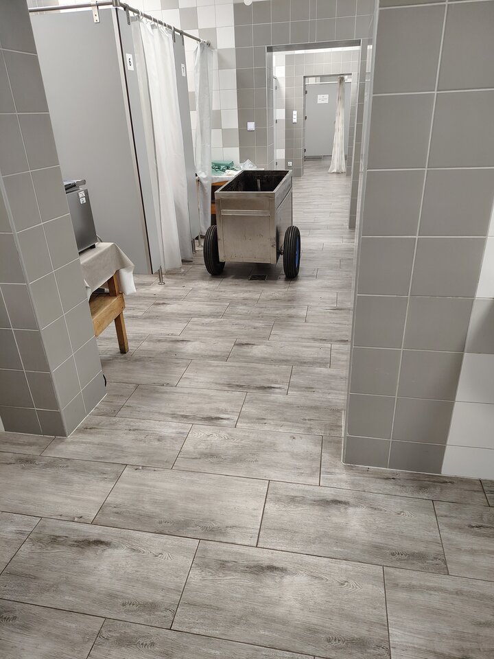 1000002187.jpg - pulchna65