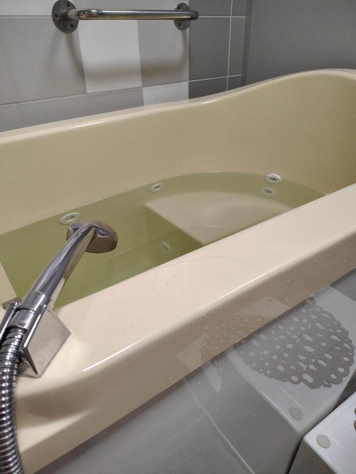 1000002184.jpg - pulchna65