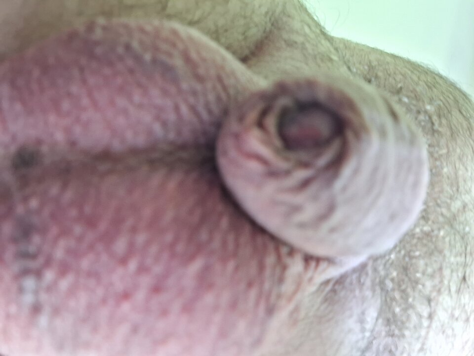 1000001681.jpg - Olesnica50